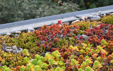 the cost of Lamledra green roof installation