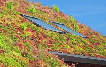 Lamledra living roof systems
